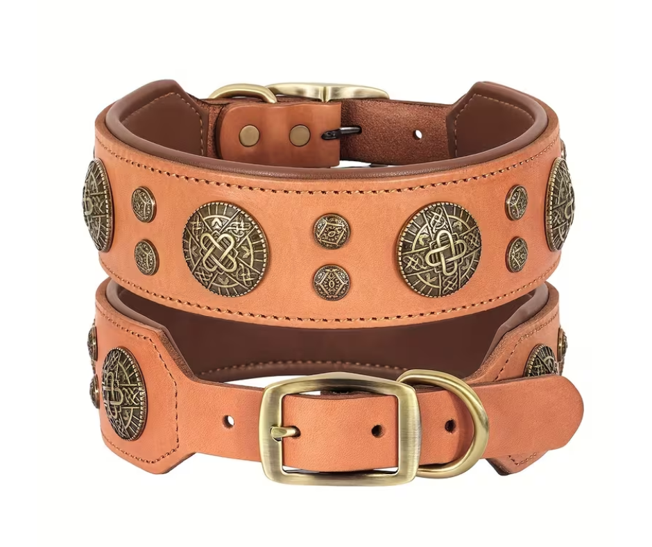 Titan Halsband | Bruin