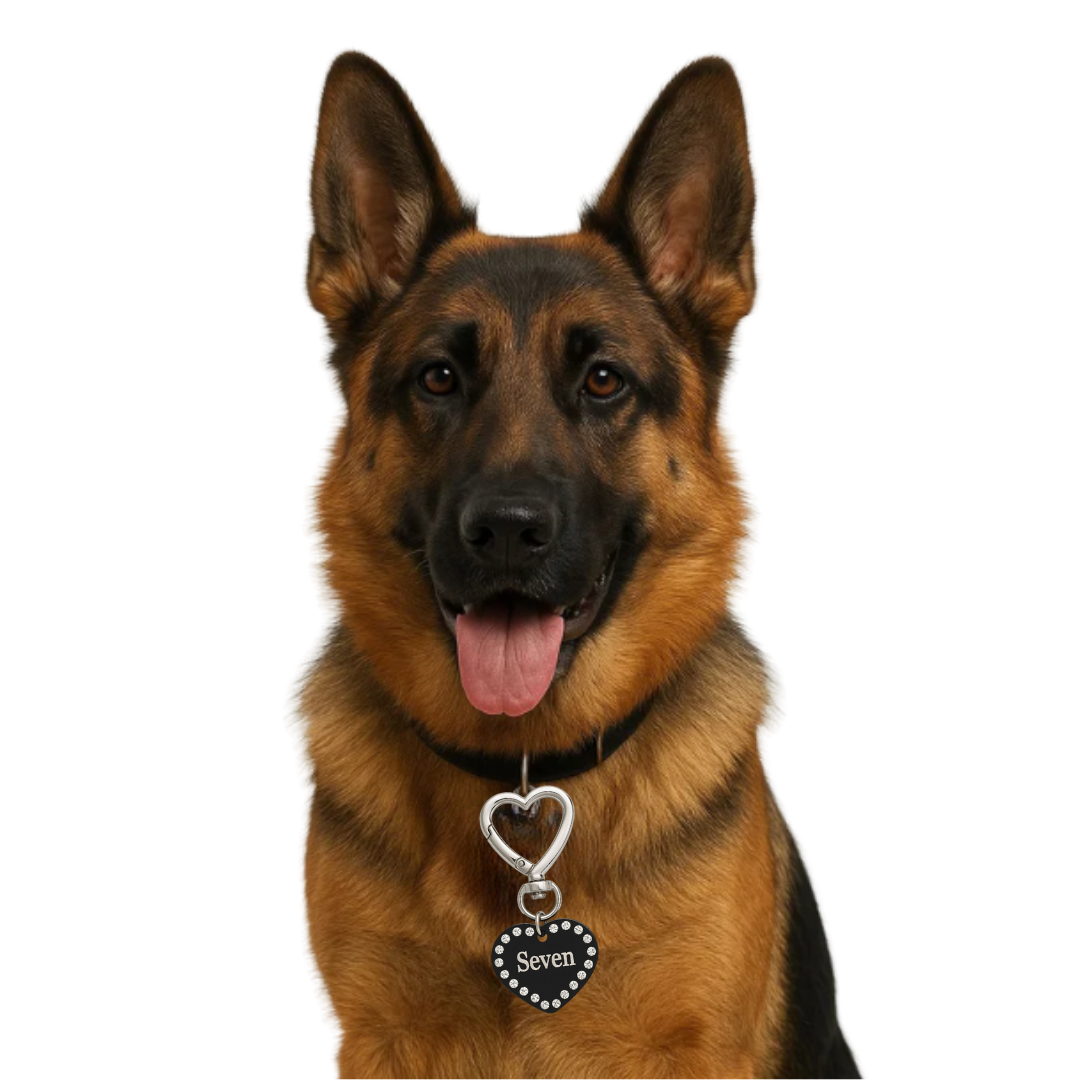 Hondenpenning Black Strass