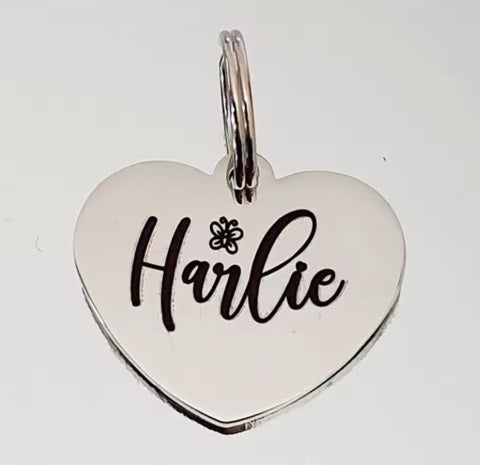 Dog tag Silver Love