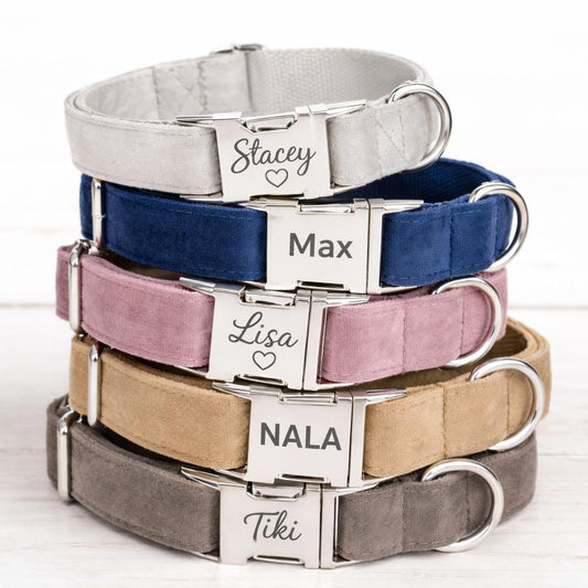 Velvet Elite Halsband