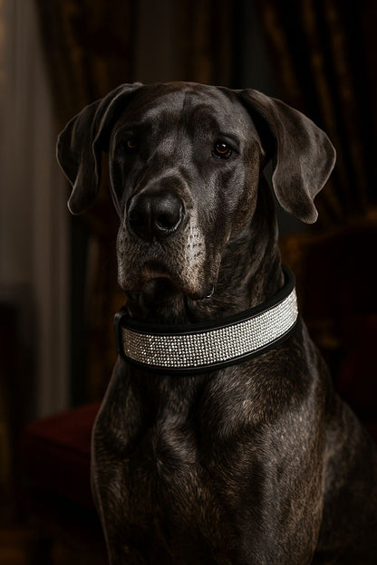 DIVA halsband reflecterend | Zwart