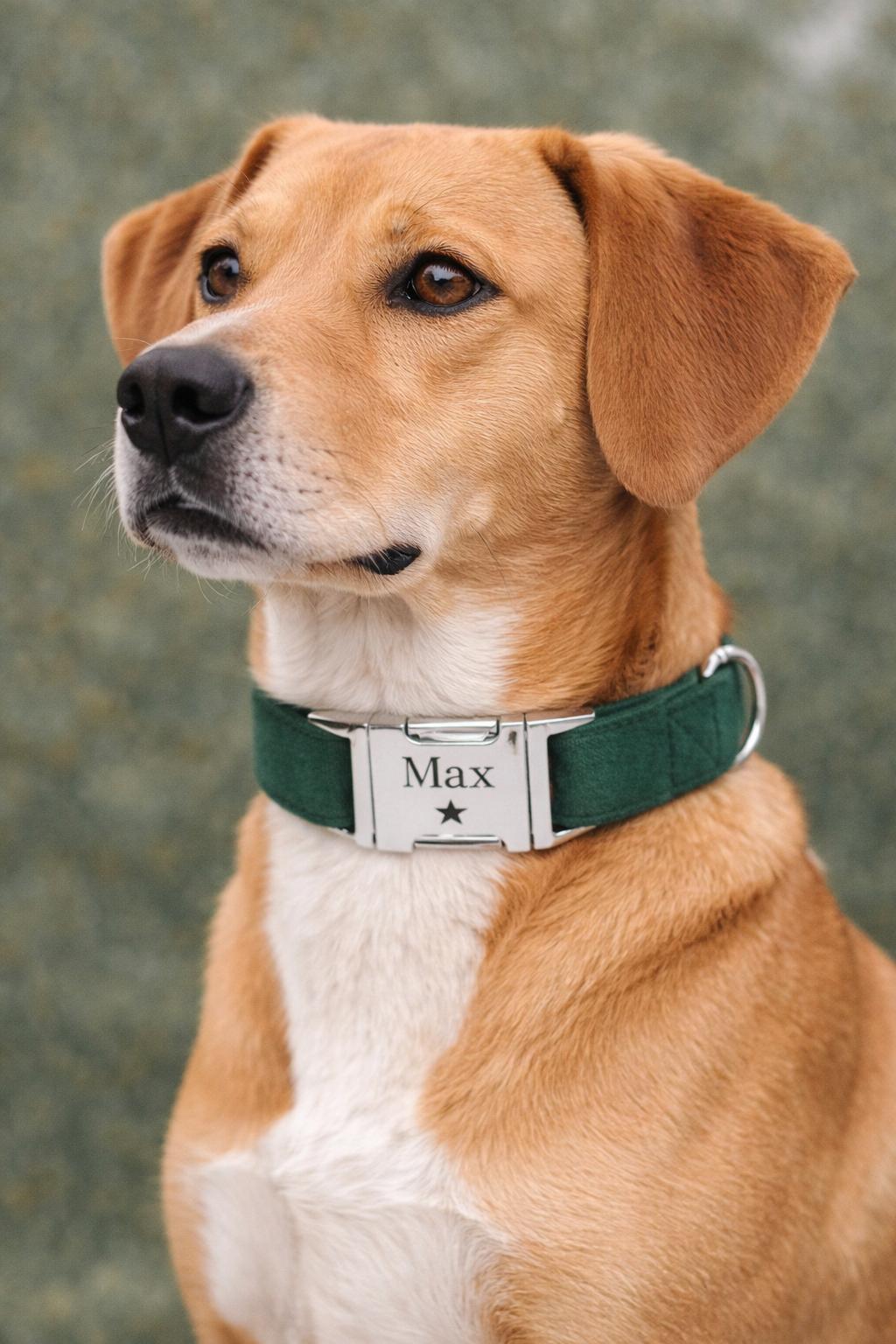 Velvet Elite Halsband