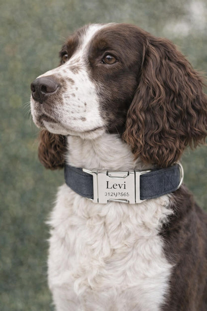 Velvet Elite Halsband