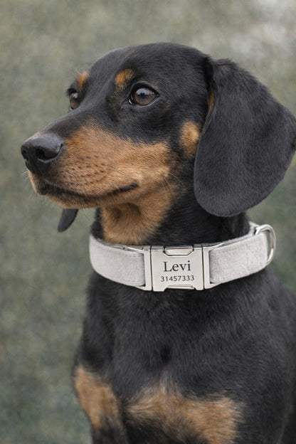 Velvet Elite Halsband