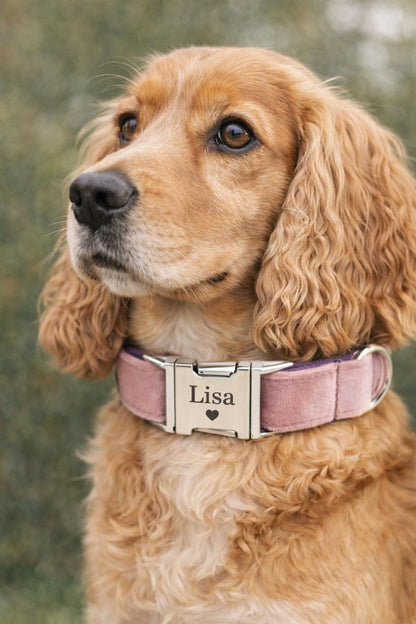 Velvet Elite Halsband