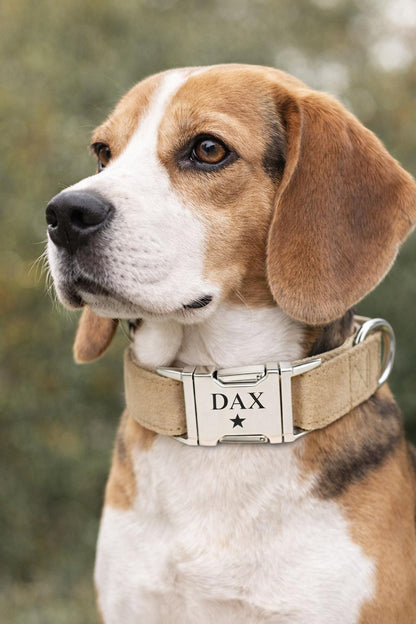 Velvet Elite Halsband