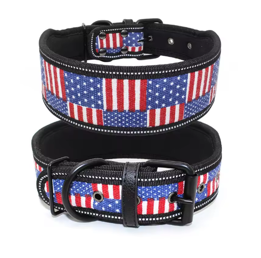 American Dream Halsband