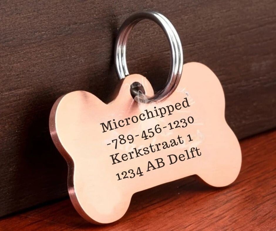 Dog Tag Stainless Steel Large