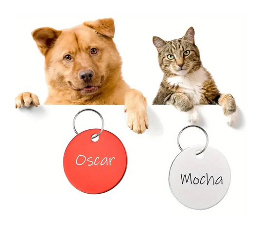 Colored coin | puppies &amp; kittens